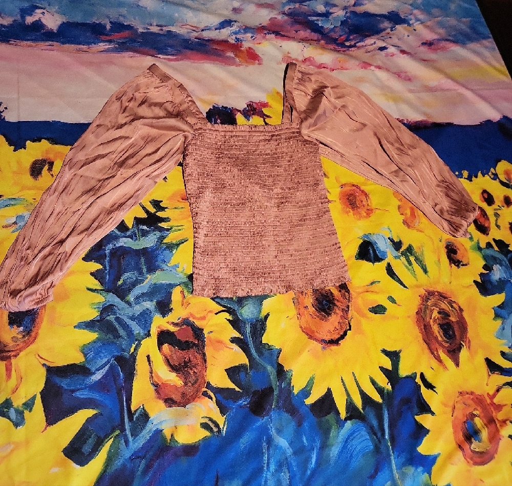 Pink Long Sleeve Blouse